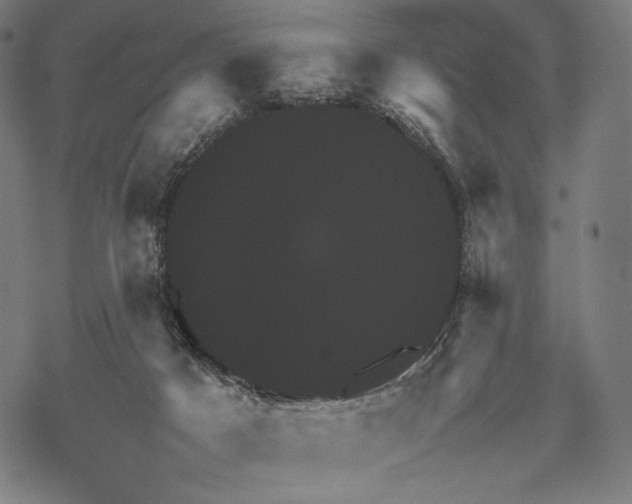 X0000067850025200605111719