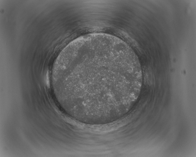 X0000067850026200605111719