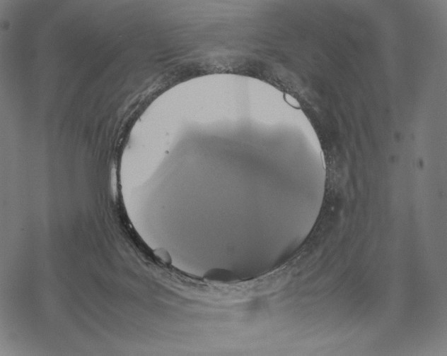 X0000067850027200605111719