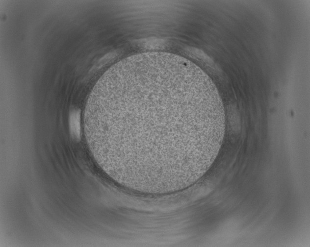 X0000067850028200605111719