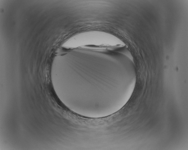 X0000067850031200605111719