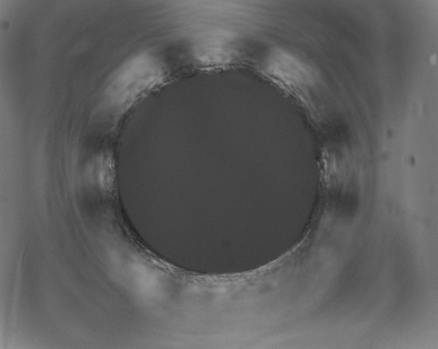 X0000067850033200605111719