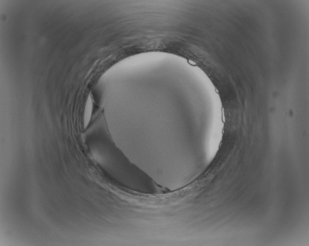 X0000067850035200605111719