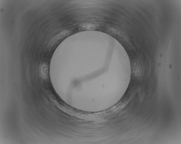 X0000067850036200605111719