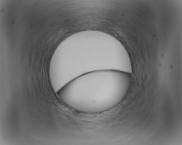 X0000067850037200605111719