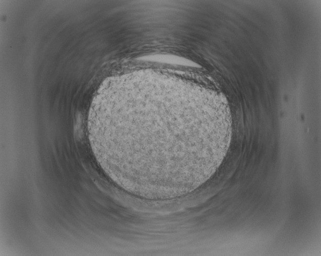 X0000067850038200605111719