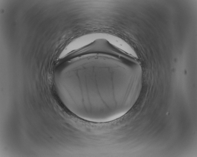 X0000067850039200605111719