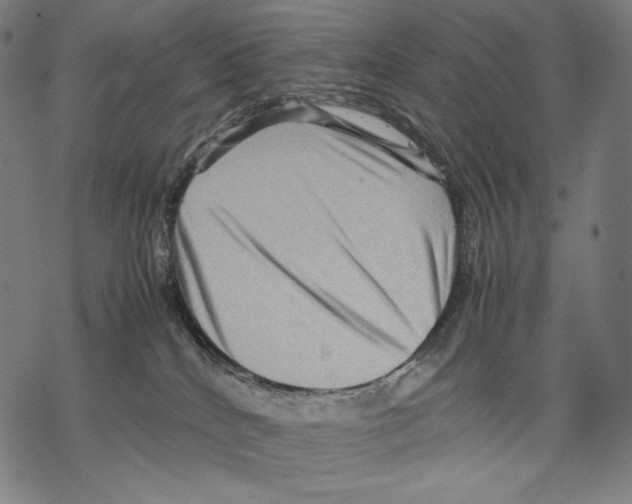 X0000067850040200605111719