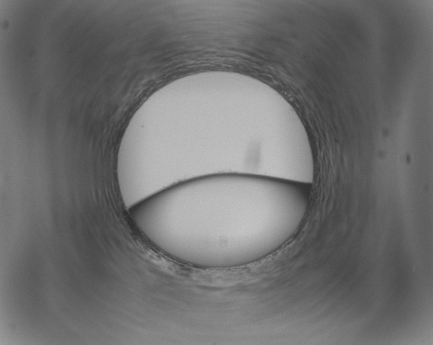 X0000067850041200605111719