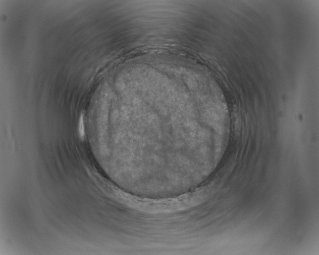 X0000067850042200605111719