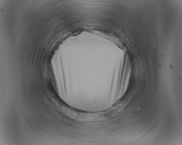 X0000067850044200605111719