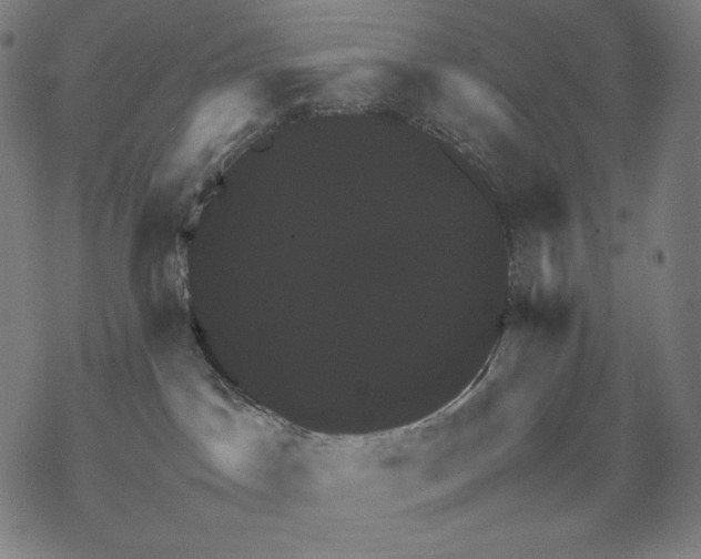 X0000067850045200605111719