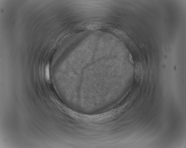 X0000067850046200605111719