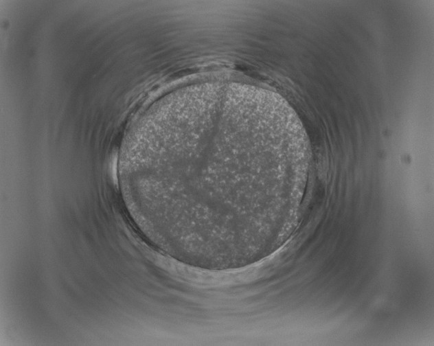 X0000067850047200605111719