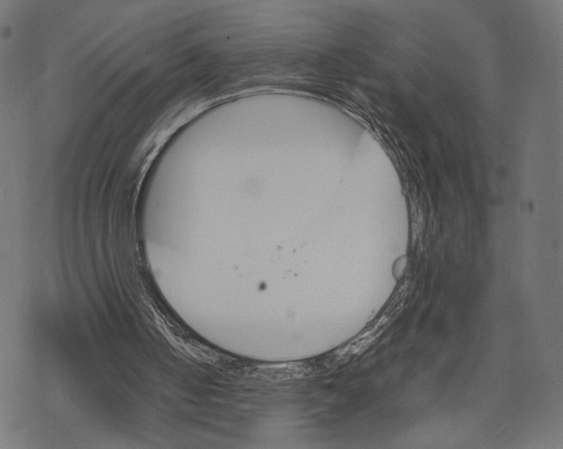 X0000067850050200605111718