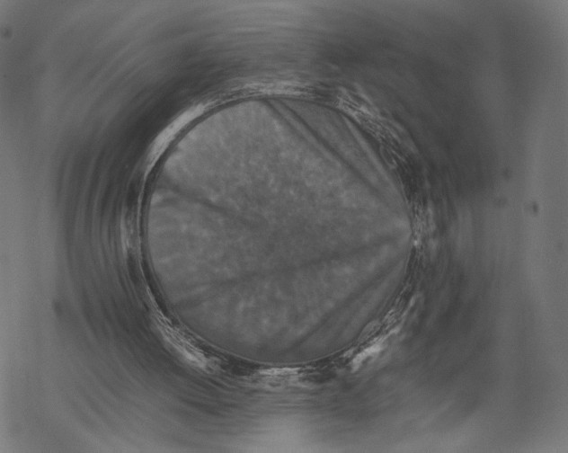 X0000067850052200605111718