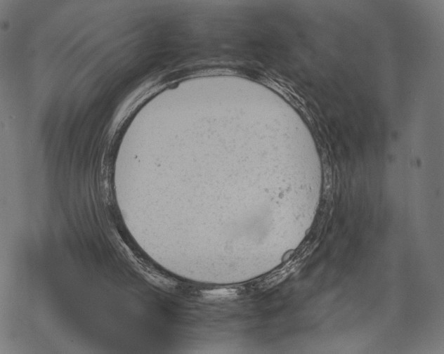 X0000067850053200605111718