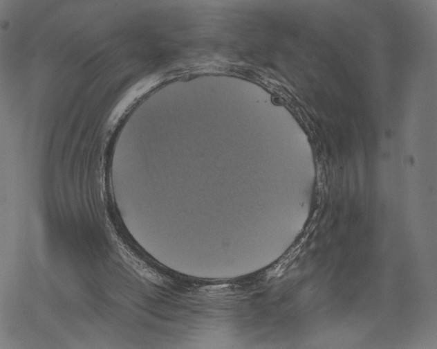 X0000067850054200605111718