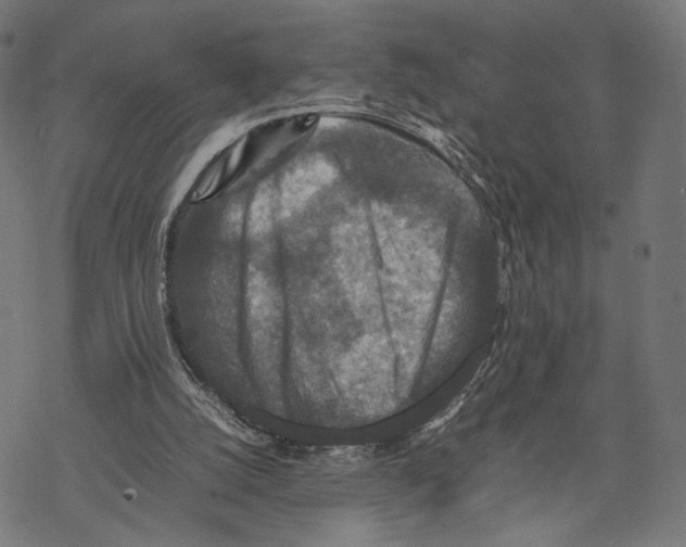 X0000067850056200605111718