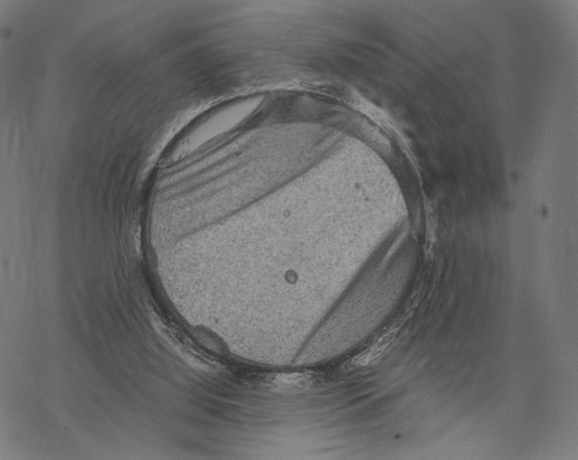 X0000067850060200605111718