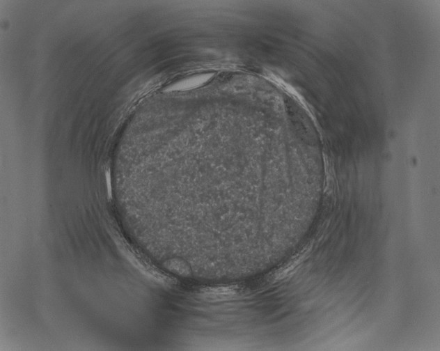 X0000067850061200605111718