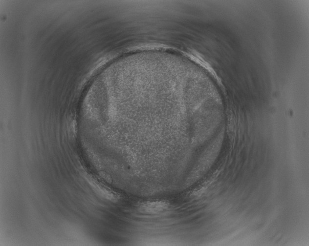 X0000067850063200605111718