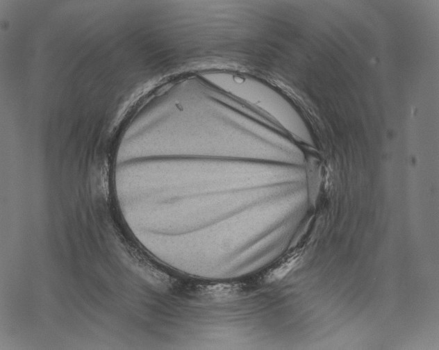 X0000067850064200605111719