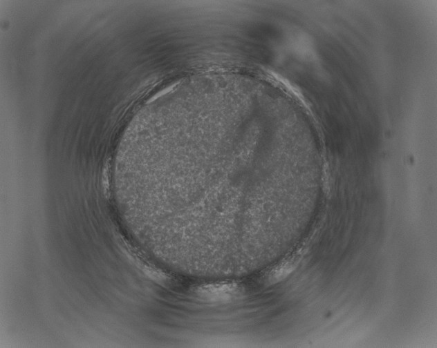 X0000067850065200605111719