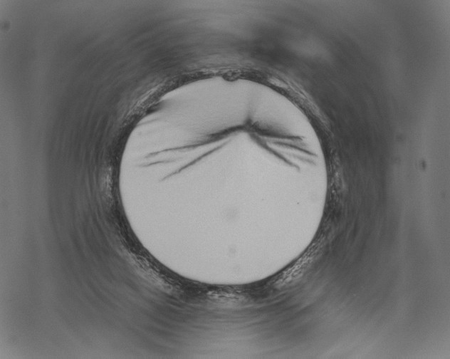 X0000067850066200605111719