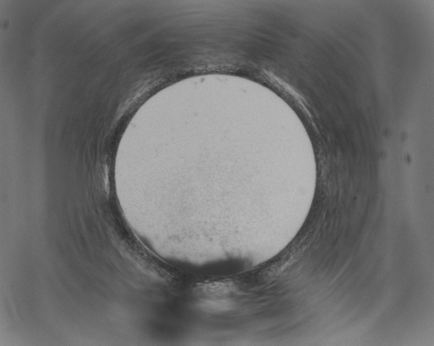 X0000067850067200605111719