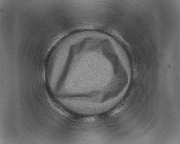 X0000067850068200605111719