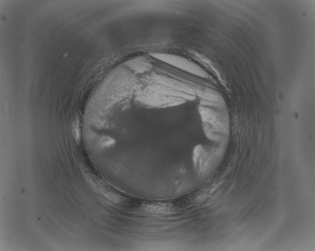 X0000067850069200605111719