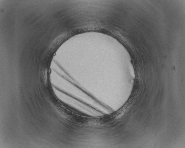 X0000067850070200605111719