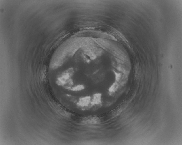 X0000067850073200605111719