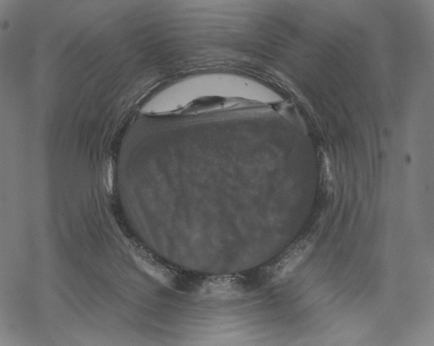 X0000067850076200605111719