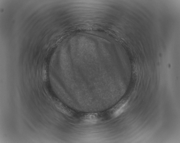 X0000067850080200605111719