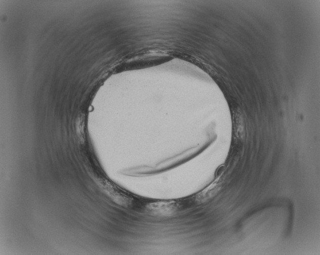 X0000067850082200605111719