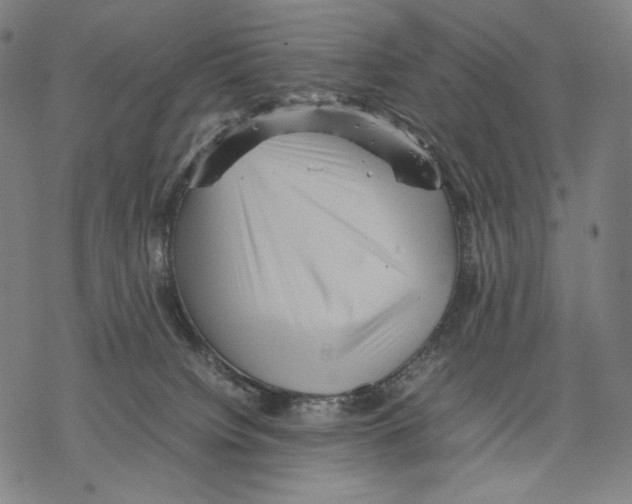 X0000067850084200605111719