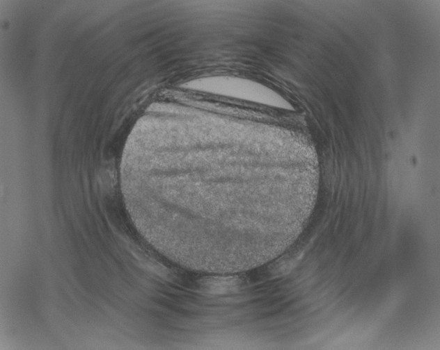 X0000067850085200605111719