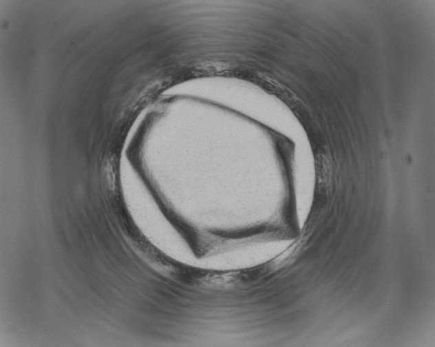 X0000067850086200605111719