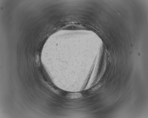 X0000067850087200605111719