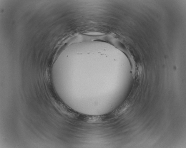 X0000067850088200605111719