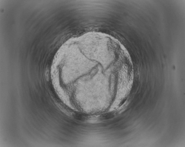 X0000067850090200605111719