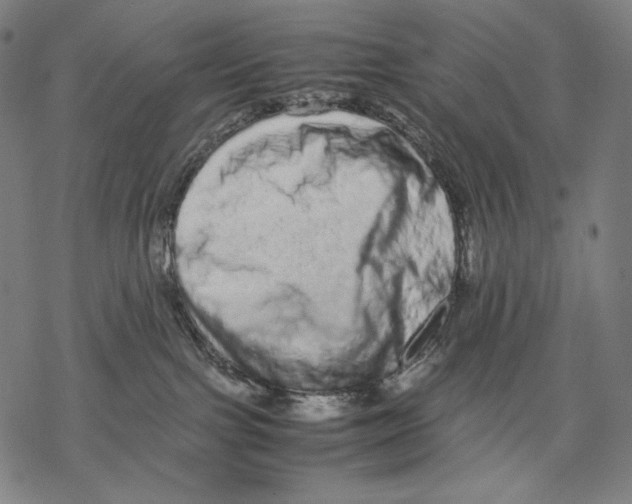 X0000067850091200605111719