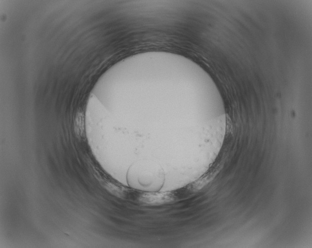 X0000067850093200605111719