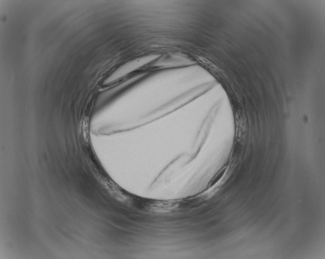 X0000067850094200605111719