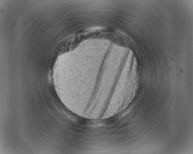 X0000067850095200605111719