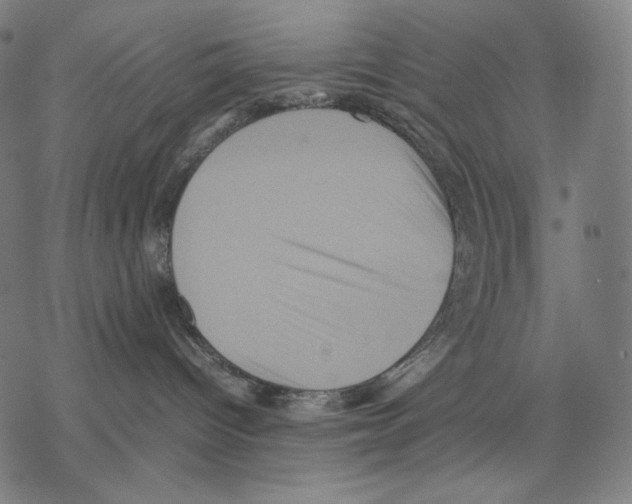 X0000067850096200605111719