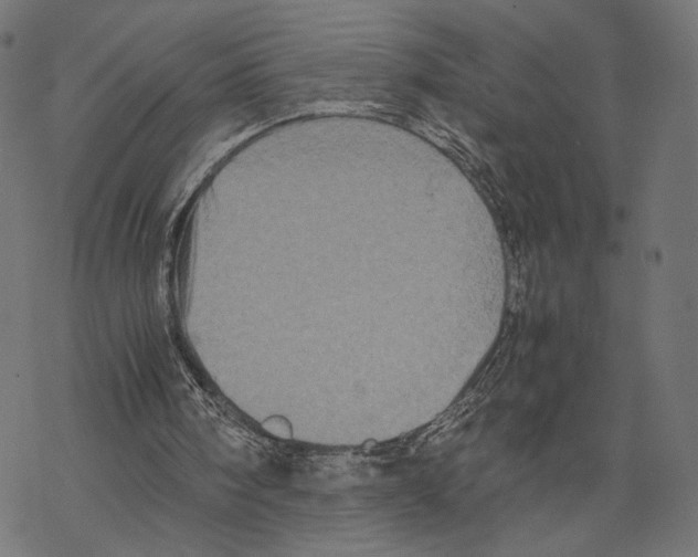 X0000067850098200605111718