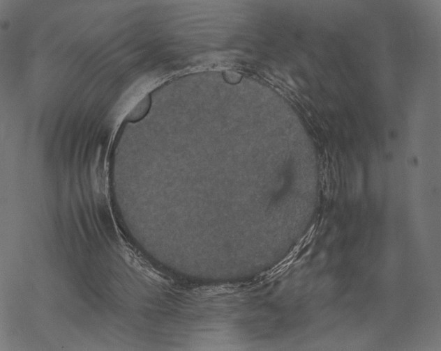 X0000067850100200605111718